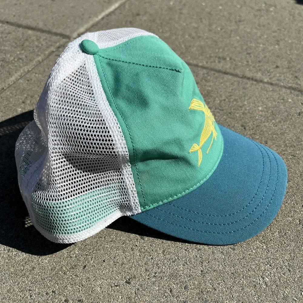 Patagonia Deconstructed Flying Fish Women's Trucker Hat, Green on Blue, Snapback